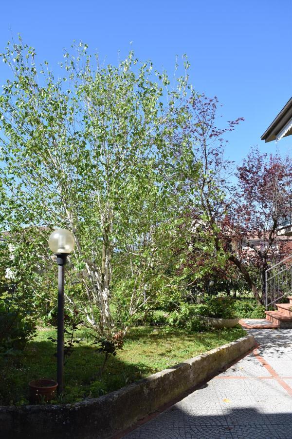 Villa La casa di ViSi San Giacomo  Esterno foto